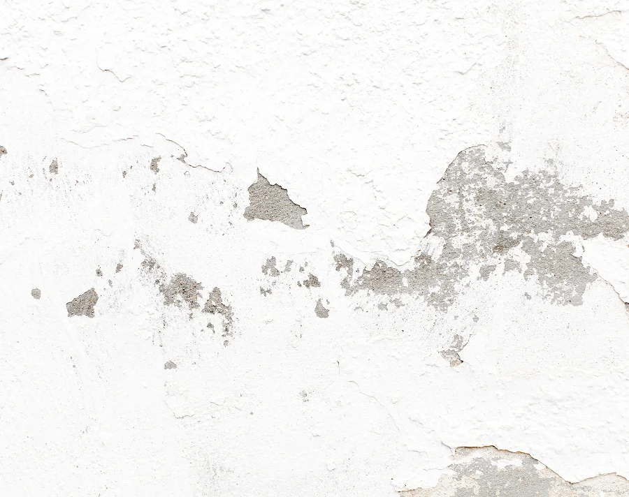 Person with paint samples